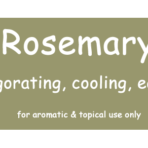 Rosemary (Spanish)